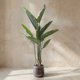 thumbnail image 1 of Bird of Paradise 160cm Real Touch, 1 of 2