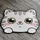 thumbnail image 1 of 1pc, Cute Grey Cat Rug - Non-Slip Bathroom Mat, Washable Doormat, Bedroom/Living Room Decoration, Silicone Mud Floor Mat for Pets - Indoor Cat Pad, Dog Sleeping Pad, 1 of 4