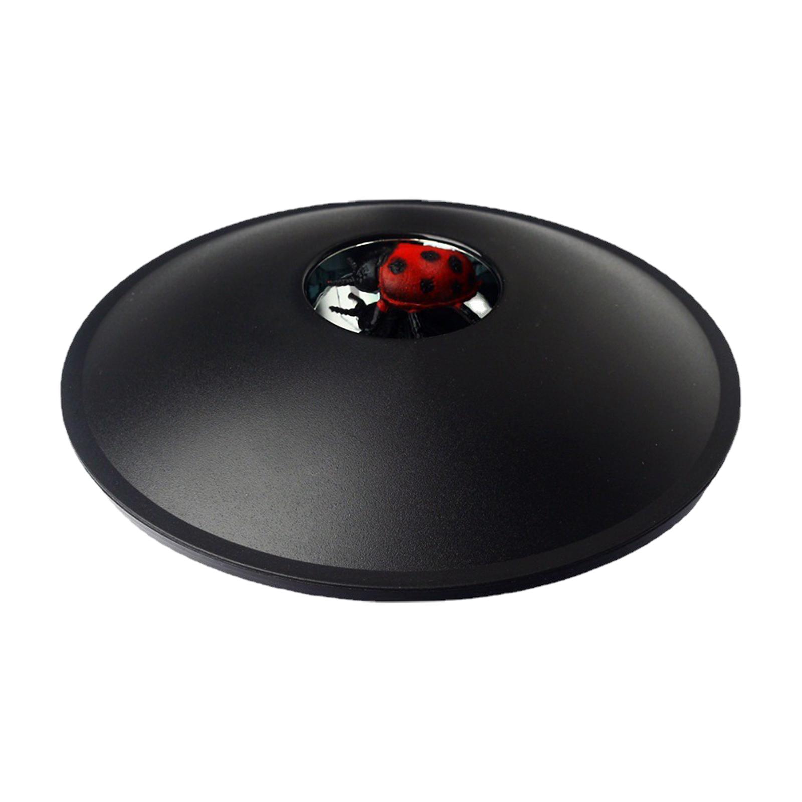 Magideal - Imagen De Visual De Proyección Óptica, Regalos Para , Imagen De Holograma Instantáneo De 6 "", Juguete Con Efecto 3D Para Y Niñas, J Mariquita