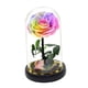 thumbnail image 4 of Ilumine Una Rosa En Una Cúpula De Cristal Regalos Del Día De San Valentín Para Su Flor Rosa, 4 of 5
