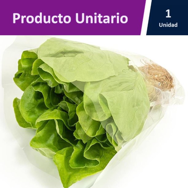 lechuga-espa-ola-hidrop-nica-bolsa-lider