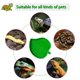thumbnail image 5 of Plato para tortugas NGORAY con rampa y plataforma para tomar el sol, 5 of 6