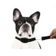 thumbnail image 1 of Collar Retractil para Mascotas, 1 of 3