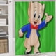 thumbnail image 5 of Juego de Cortina de Ducha El Show de Porky Pig 4 Piezas, 5 of 6