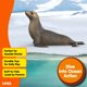 thumbnail image 4 of Figura de juguete Schleich León marino 14933, 4 of 6