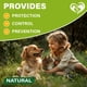 thumbnail image 5 of Tratamiento spot-on natural contra pulgas y garrapatas Beloved Pets, 3 meses, 5 of 8