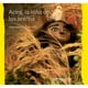thumbnail image 1 of Libro Acira, La Niña De Las Arenas, 1 of 2