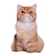 thumbnail image 1 of Almohada De Felpa De Simulación, Juguetes Divertidos Para Ni?os, Para Oficina, Habitación De Ni?os, Sofá, Garfield, 1 of 5