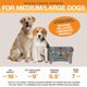 thumbnail image 5 of Comedero para perros Neater Feeder Express, modelo medio/grande, gris, 5 of 9