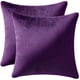 thumbnail image 1 of Fundas de almohada MIULEE de terciopelo de 40 x 40 cm, color morado berenjena (paquete de 2), 1 of 6