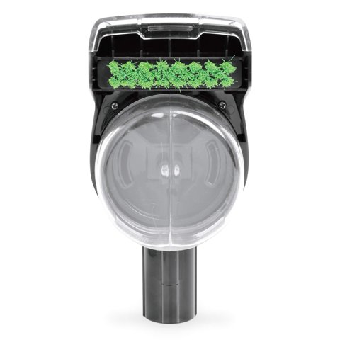 Herramienta Antimanchas Para Limpiadores De Alfombras Y Tapicería Bissell 3265