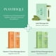 thumbnail image 3 of Set de herramientas faciales PLANTIFIQUE Jade Roller y Gua Sha, 3 of 6
