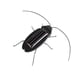 thumbnail image 1 of Novedad, Con Energía Solar, Simulación, Insectos, Animales, Modelo, Cucaracha De Juguete, 1 of 3