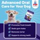 thumbnail image 2 of Agente de Limpieza Dental Pup Labs ProDenta Polvo Natural Paquete de 6, 2 of 7