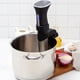 thumbnail image 3 of Roner Sous Vide, 3 of 9