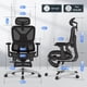 thumbnail image 2 of Silla de oficina FLEXISPOT ErgoX Premium ergonómica con reposapiés, 2 of 9