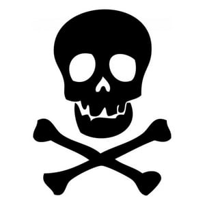 Rienda Libre Graphics - Decomural Skull And Crossbones Pirate Ws-34596