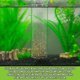 thumbnail image 4 of Sistema de mantenimiento para acuarios Python No Spill Clean & Fill, 4 of 8