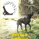 thumbnail image 5 of Collar de entrenamiento antitirones para perros, reflectante, con hebilla metálica de liberación rápida y ajustable., 5 of 6