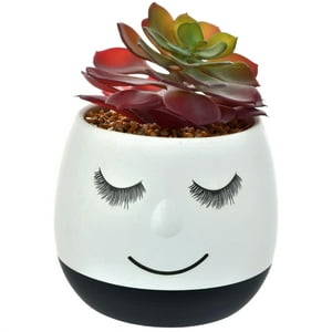 Mallorca - Suculenta Decorativa Maceta Flavia Black