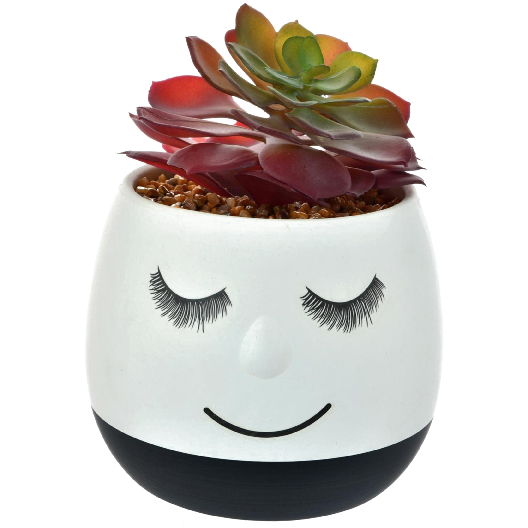 Mallorca - Suculenta Decorativa Maceta Flavia Black