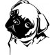 thumbnail image 1 of Decomural Pug Puppy Dog WS-18702, 1 of 2