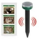 thumbnail image 1 of Estacas Solares Repelente de Topos y Ratones Pack De 4 negro, 1 of 5