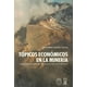 thumbnail image 1 of Libro Topicos Economicos En La Mineria 248, 1 of 2
