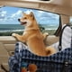 thumbnail image 5 of Asiento De Coche Para Perros De Espuma Viscoelástica Para Perros Pequeños Y Medianos, 5 of 8