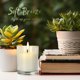 thumbnail image 3 of Votive Candles Soft Breeze, 24 unidades, color marfil, sin perfume, 3 of 5