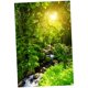 thumbnail image 2 of 3d impermeable tapiz-paisaje serie bosque luz del sol decoración 180x180cm, 2 of 3
