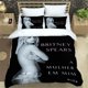 thumbnail image 1 of Star Britney Spearsr Bedding Sets exquisite bed supplies set duvet cover bed comforter set bedding set luxury birthday gift, 1 of 5
