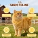 thumbnail image 3 of Suplemento de taurina QYGCHUSIN Farm Feline para gatos 170g, 3 of 6