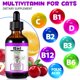thumbnail image 2 of Gotas multivitamínicas para gatos NBTREKTIE 15 en 1, 60 ml, 2 of 7