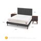 thumbnail image 3 of Cama Europea Curve Cocopedic 2 Plazas Eufrates S/T, 3 of 14