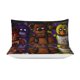 thumbnail image 3 of Five Nights At Freddy 3-Piece Bedding Set Warm And Comfortable Soft Duvet Cover Bed Set for Boys Girls Kids Adult Bedroom All Season, 3 of 5