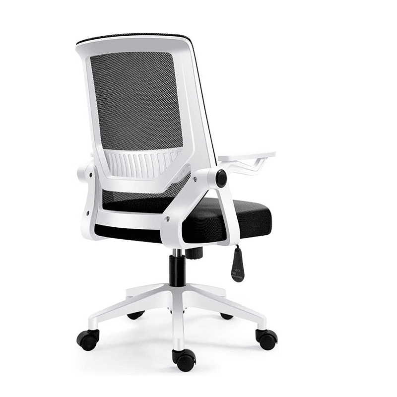 Wakeshome - Silla Ergonomica Oficina Soporte Lumbar Ajustable Giratorio
