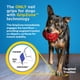 thumbnail image 5 of Nail Grips Dr. Buzby's ToeGrips para perros, talla pequeña, 5 of 9