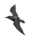 thumbnail image 5 of Escultura De Pájaro, Modelo De Pájaro Decorativo Coleccionable Vívido Para Ventana, Patio, Césped, 5 of 5