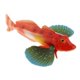 thumbnail image 3 of Realista Estático Océano Animal Modelo Juguete Ni?os Regalo Bluefin Gurnard, 3 of 3