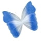 thumbnail image 4 of Mariposa Artificial Gigante Decorativa Para Fotos, Ideal Para Bodas, Interiores Y Exteriores, Con Degradado Azul Oscuro., 4 of 5