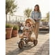 thumbnail image 5 of Triciclo Evolutivo Coche Para Niños Reclinable Y Giratorio 360°, 5 of 5