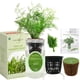 thumbnail image 2 of Kit de cultivo hidropónico de eneldo Environet para interior, 2 of 8