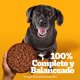 thumbnail image 4 of Alimento Húmedo Perro Senior Sabor Carne Pouch, 100 g, 4 of 9