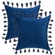 thumbnail image 1 of REGALWOVEN Paquete de 2 fundas de cojín decorativas de terciopelo suave sólido con borlas para sofá dormitorio sofá azul oscuro 20" x 20", 1 of 6