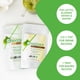 thumbnail image 2 of Matcha culinario en polvo AIYA desde 1888 100 g, 2 of 9
