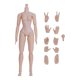 thumbnail image 4 of Juguetes De Cuerpo Musculoso De 12 Pulgadas, Coleccionables En Miniatura, Hombro Estrecho Desmontable, Hembra, Blanco, 4 of 5