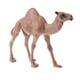 thumbnail image 4 of Figuras De Modelos De Animales Realistas, Juguete Educativo Para Ni?os, Regalo, Dromedario, 4 of 5