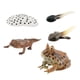 thumbnail image 3 of Montessori Frogs Life Cycle Model Animals Juego Cognitivo Para Niños Proyecto Estilo C, 3 of 5