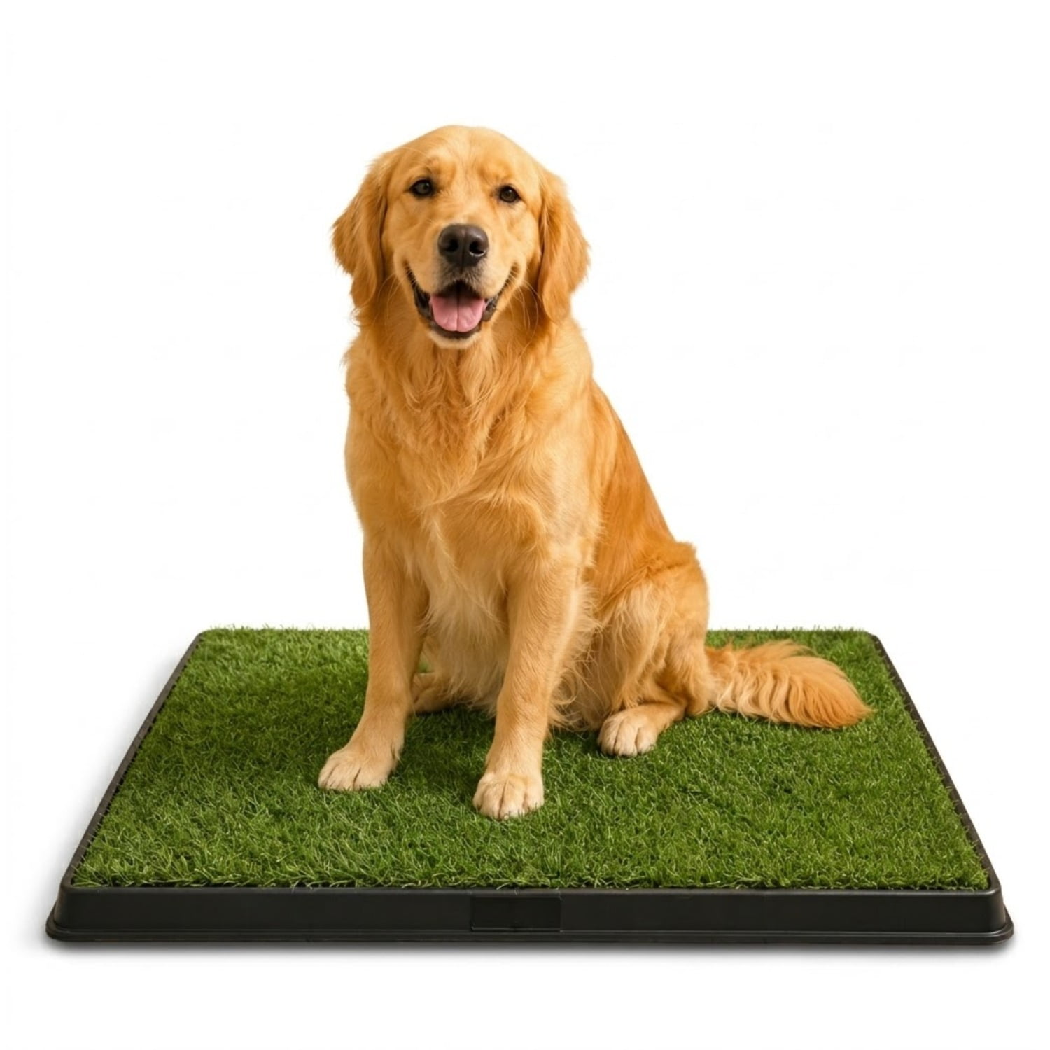 Baño Ecológico Pet Potty Mascotas